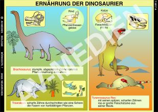 Ernährung und Vermehrung der Dinosaurier