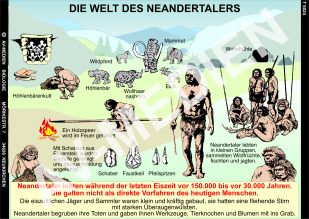 Die Welt des Neandertalers