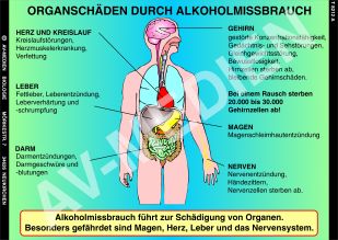 Organschäden durch Alkoholmissbrauch