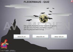 Fledermaus-Quiz