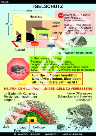 Winterschlaf