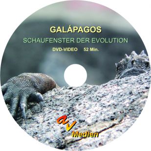 DVD: Galápagos - Schaufenster der Evolution