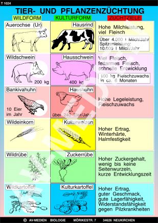 Tier- und Pflanzenzüchtung