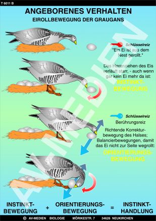 Angeborenes Verhalten