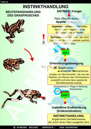 Einfache Instinkthandlung