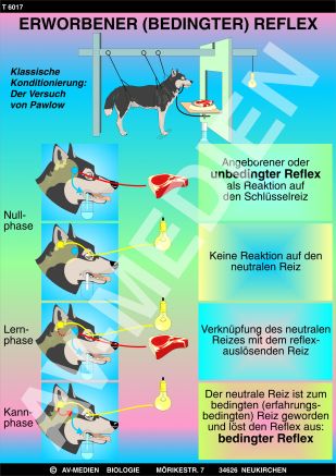 Erworbener (bedingter) Reflex