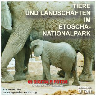 Tiere und Landschaften im Etoscha-Nationalpark