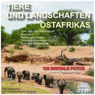 Tiere und Landschaften Ostafrikas