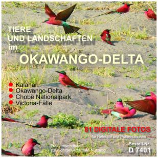Tiere und Landschaften im Okawango-Delta