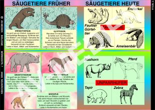 Säugetiere früher und heute