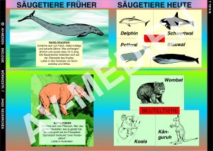Säugetiere früher und heute