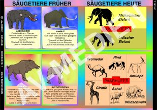 Säugetiere früher und heute