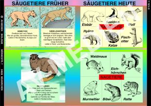 Säugetiere früher und heute