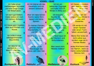 Rätselspaß Vögel