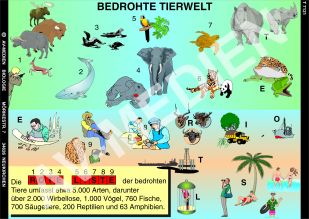 Bedrohte Tierwelt