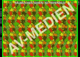 Räumliches Sehen