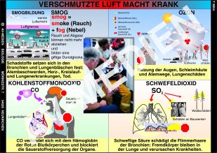 Verschmutzte Luft macht krank