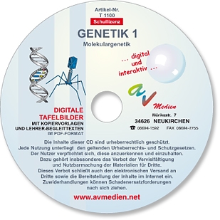 Interaktive digitale Tafelbilder GENETIK 1: Molekulargenetik
