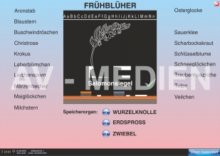 Frühblüher