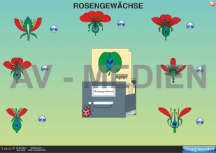 Rosengewächse