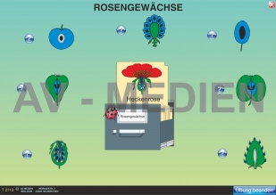 Rosengewächse