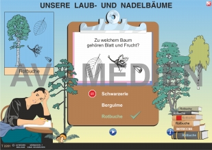 Unsere Laub- und Nadelbäume