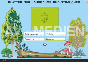 Laubfall / Blätter der Laubbäume und Strucher