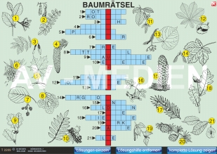 Einheimische Bäume und Sträucher (Quiz, Rtsel, Puzzle)