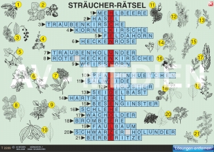 Einheimische Bäume und Sträucher (Quiz, Rtsel, Puzzle)