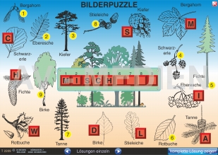 Einheimische Bäume und Sträucher (Quiz, Rätsel, Puzzle)