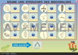 Einheimische Bäume und Sträucher (Quiz, Rtsel, Puzzle)