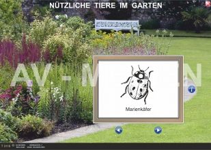 Nützliche Tiere im Garten