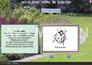 Nützliche Tiere im Garten