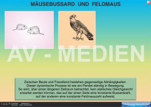 Das biologische Gleichgewicht