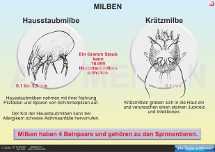 Wanzen - Milben - Zecken