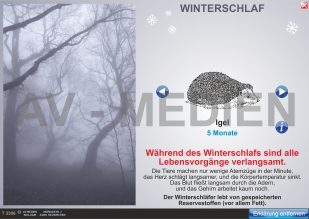 Winterschlaf