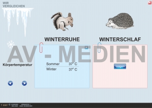 Winterruhe