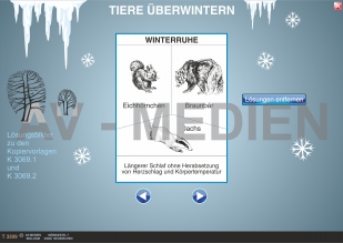 Tiere überwintern