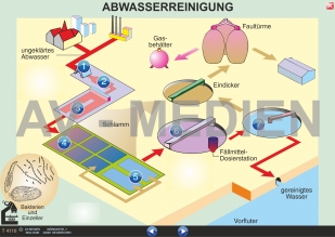 Abwasserreinigung