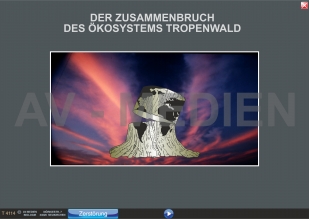 Der Zusammenbruch des Ökosystems Tropenwald