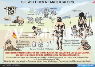 Die Welt des Neandertalers