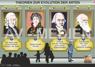 Theorien zur Evolution der Arten