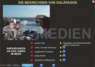Rassen- und Artbildung