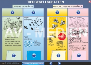 Tiergesellschaften