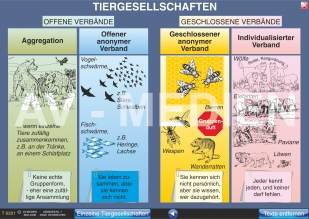 Tiergesellschaften