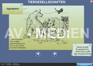 Tiergesellschaften