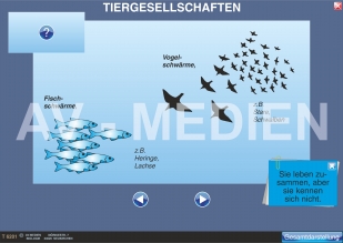 Tiergesellschaften