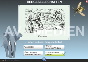 Tiergesellschaften