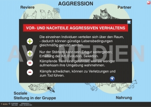 Aggression