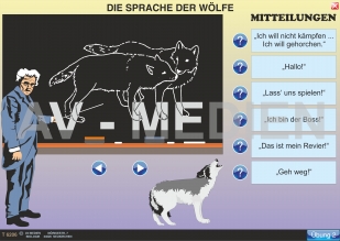 Das Verhalten der Wlfe